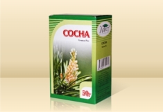 Сосна (Почки)
