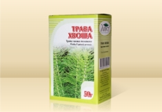 Трава Хвоща