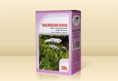 Тысячелистник